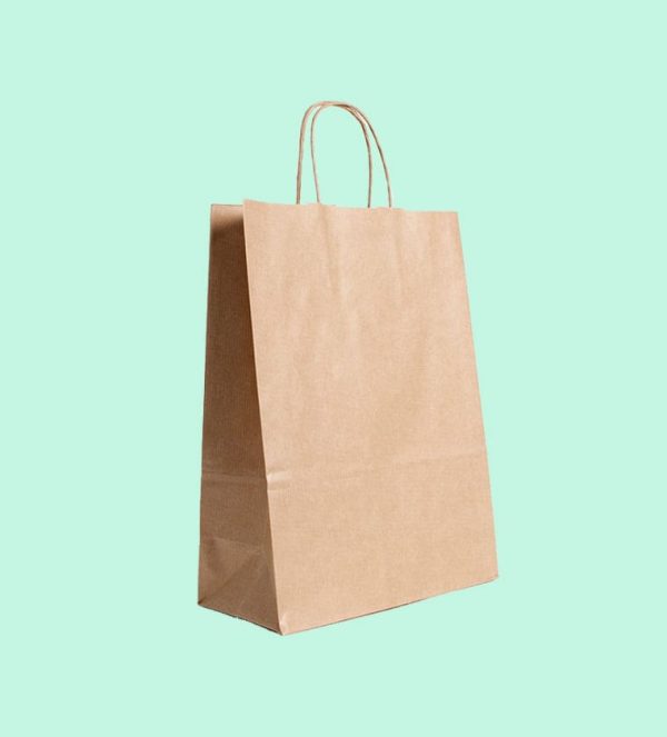 Bolsa Asa Retorcida 18+08x24